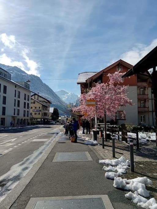New.. Matten Central Family Suite, Sleeps 4 Matten bei Interlaken Εξωτερικό φωτογραφία